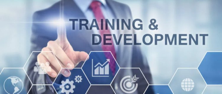 What is Training & Development?